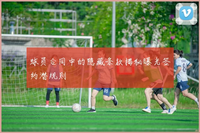 球员合同中的隐藏条款揭秘曝光签约潜规则