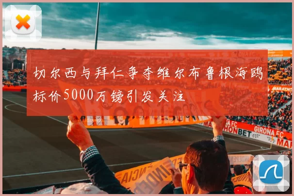 切尔西与拜仁争夺维尔布鲁根海鸥标价5000万镑引发关注