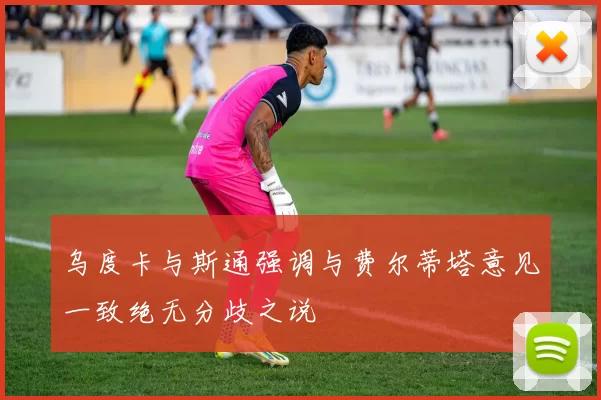 乌度卡与斯通强调与费尔蒂塔意见一致绝无分歧之说