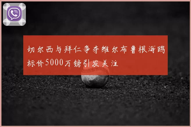 切尔西与拜仁争夺维尔布鲁根海鸥标价5000万镑引发关注