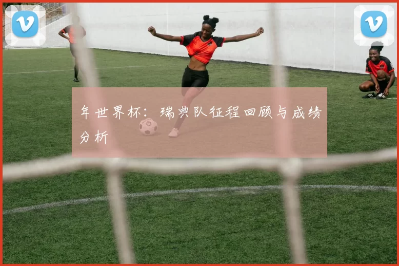 年世界杯:瑞典队征程回顾与成绩分析
