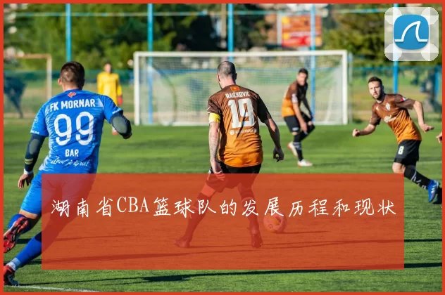 湖南省CBA篮球队的发展历程和现状
