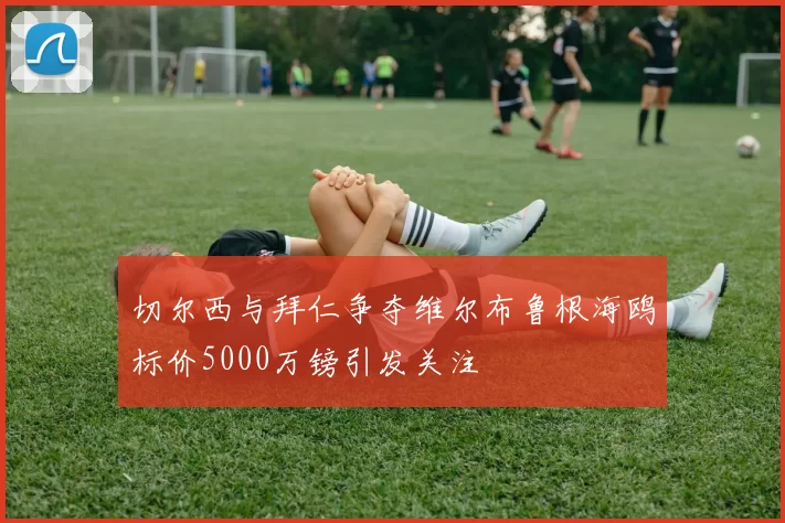 切尔西与拜仁争夺维尔布鲁根海鸥标价5000万镑引发关注