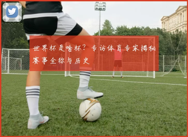 世界杯是啥杯?专访体育专家揭秘赛事全称与历史