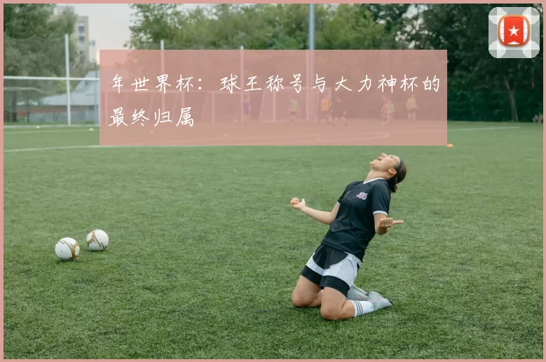 年世界杯:球王称号与大力神杯的最终归属