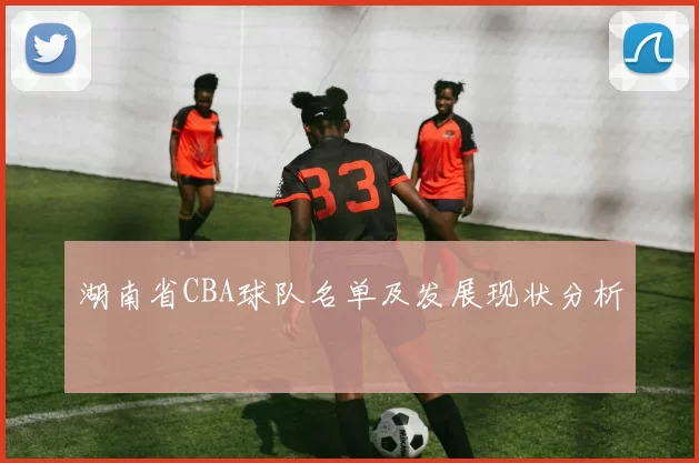 湖南省CBA球队名单及发展现状分析