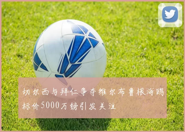 切尔西与拜仁争夺维尔布鲁根海鸥标价5000万镑引发关注