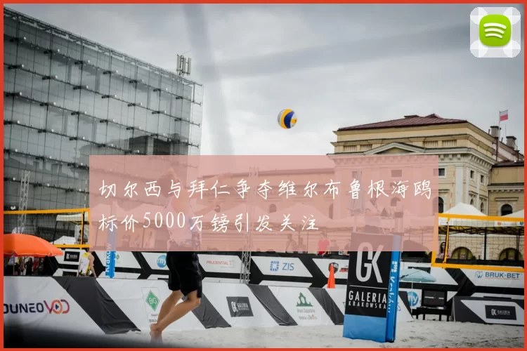 切尔西与拜仁争夺维尔布鲁根海鸥标价5000万镑引发关注