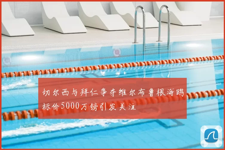 切尔西与拜仁争夺维尔布鲁根海鸥标价5000万镑引发关注