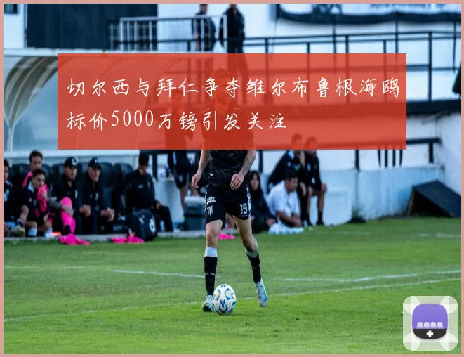 切尔西与拜仁争夺维尔布鲁根海鸥标价5000万镑引发关注