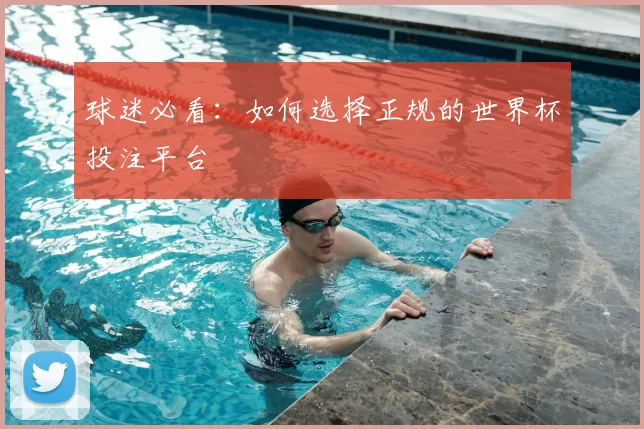 球迷必看:如何选择正规的世界杯投注平台