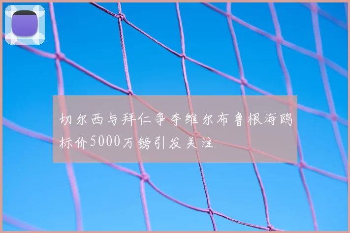 切尔西与拜仁争夺维尔布鲁根海鸥标价5000万镑引发关注