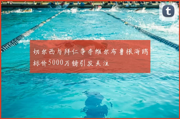 切尔西与拜仁争夺维尔布鲁根海鸥标价5000万镑引发关注