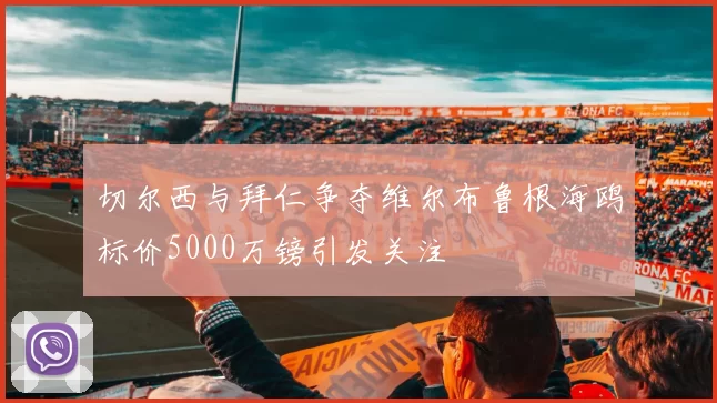 切尔西与拜仁争夺维尔布鲁根海鸥标价5000万镑引发关注
