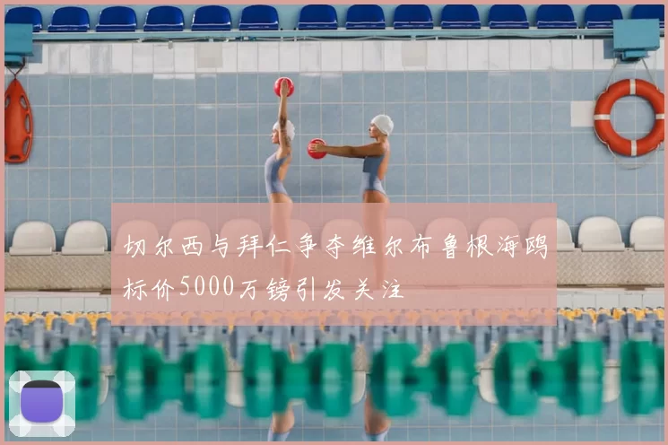 切尔西与拜仁争夺维尔布鲁根海鸥标价5000万镑引发关注
