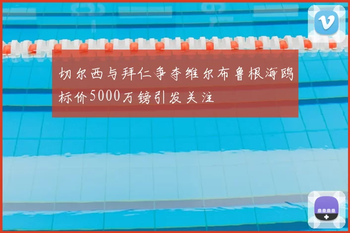 切尔西与拜仁争夺维尔布鲁根海鸥标价5000万镑引发关注