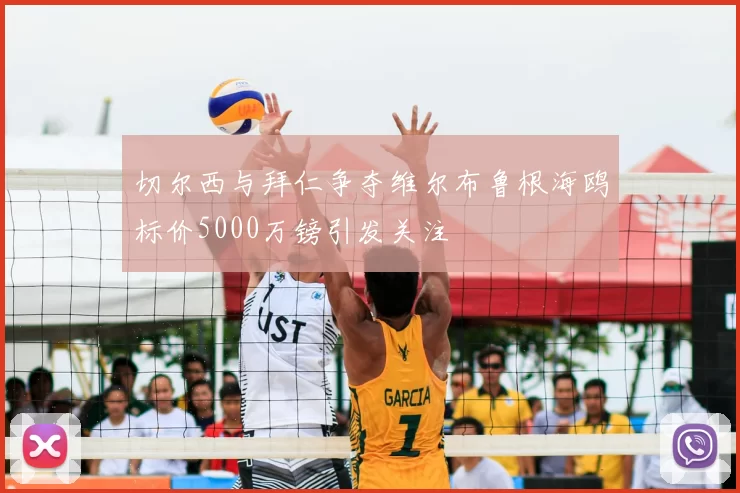切尔西与拜仁争夺维尔布鲁根海鸥标价5000万镑引发关注