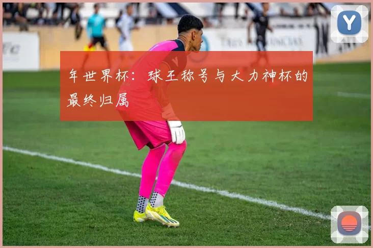 年世界杯:球王称号与大力神杯的最终归属