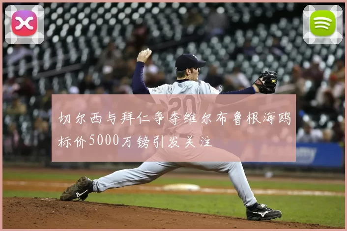 切尔西与拜仁争夺维尔布鲁根海鸥标价5000万镑引发关注