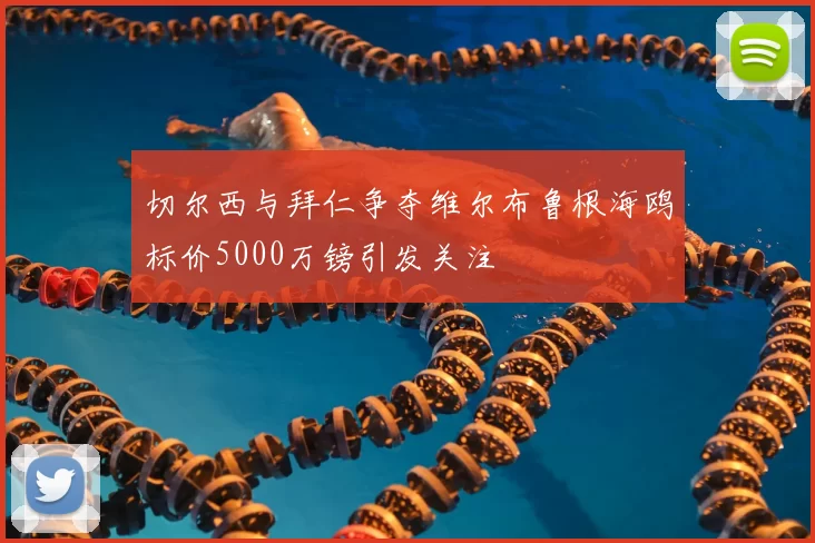 切尔西与拜仁争夺维尔布鲁根海鸥标价5000万镑引发关注