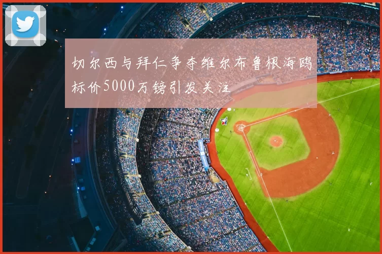 切尔西与拜仁争夺维尔布鲁根海鸥标价5000万镑引发关注