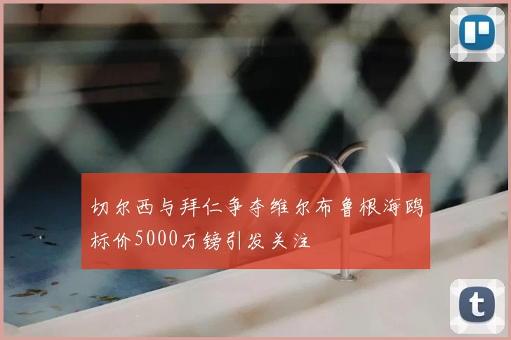切尔西与拜仁争夺维尔布鲁根海鸥标价5000万镑引发关注