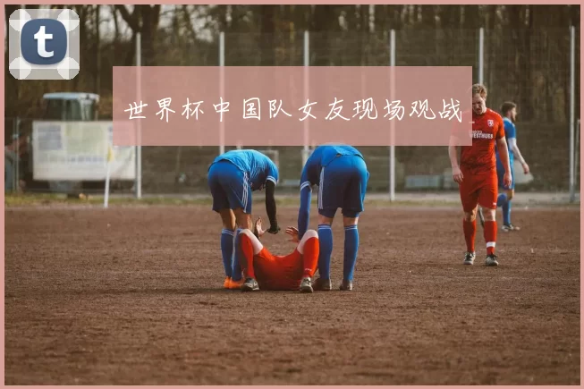 世界杯中国队女友现场观战