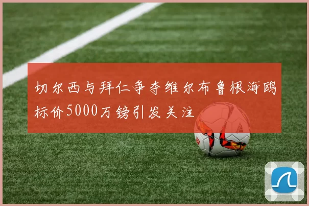 切尔西与拜仁争夺维尔布鲁根海鸥标价5000万镑引发关注