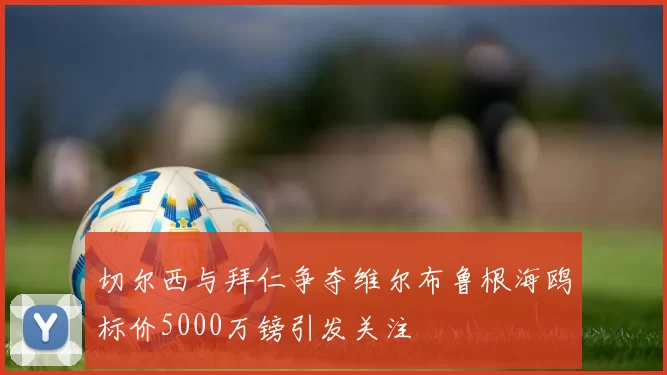 切尔西与拜仁争夺维尔布鲁根海鸥标价5000万镑引发关注