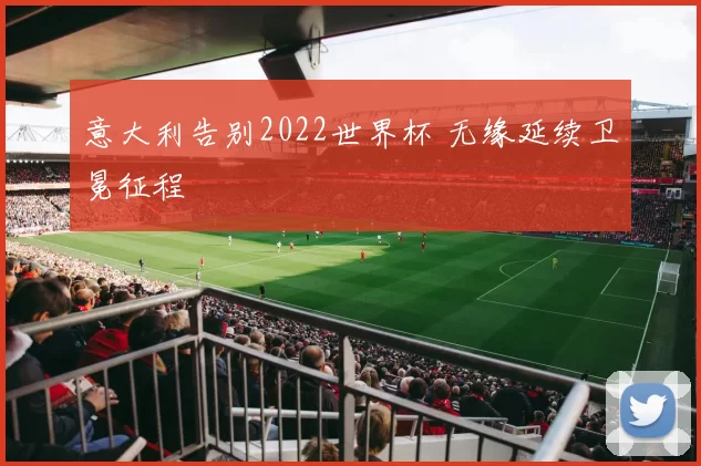 意大利告别2022世界杯 无缘延续卫冕征程