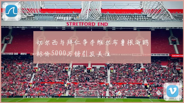 切尔西与拜仁争夺维尔布鲁根海鸥标价5000万镑引发关注