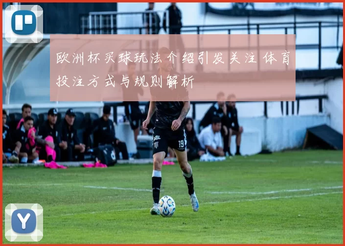 欧洲杯买球玩法介绍引发关注 体育投注方式与规则解析