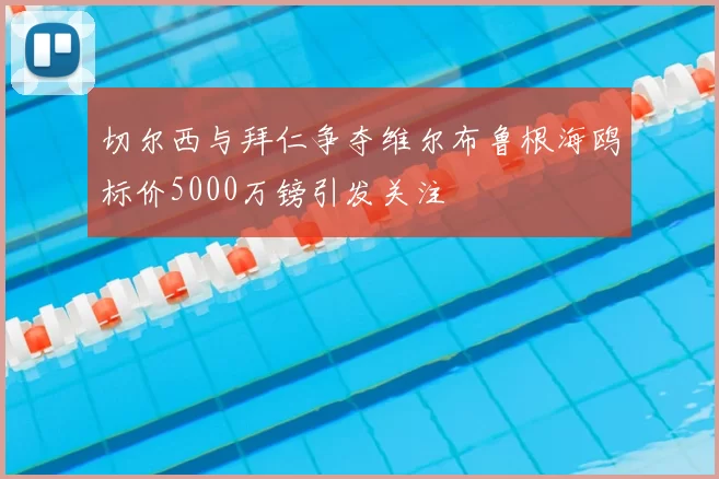 切尔西与拜仁争夺维尔布鲁根海鸥标价5000万镑引发关注
