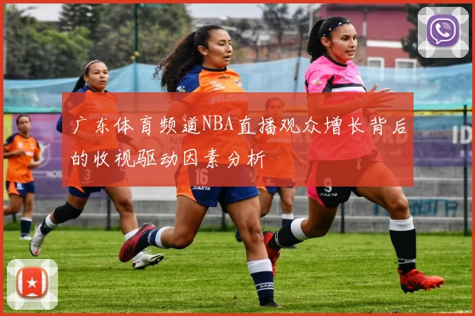 广东体育频道NBA直播观众增长背后的收视驱动因素分析