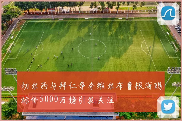 切尔西与拜仁争夺维尔布鲁根海鸥标价5000万镑引发关注