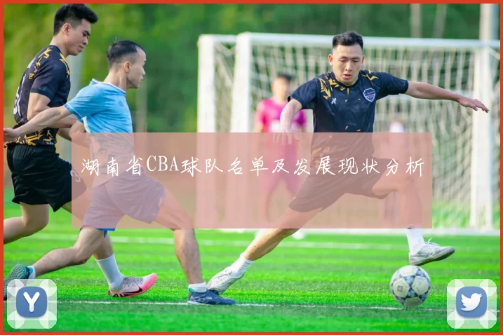 湖南省CBA球队名单及发展现状分析