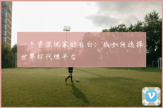 一个资深玩家的自白:我如何选择世界杯代理平台
