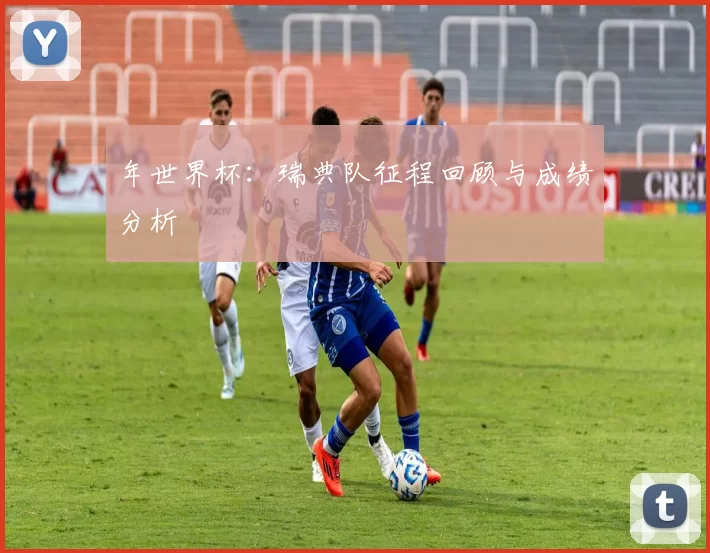 年世界杯:瑞典队征程回顾与成绩分析