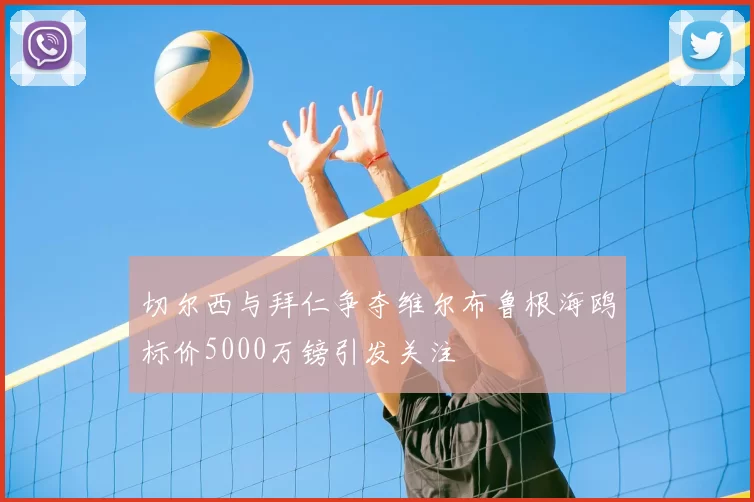 切尔西与拜仁争夺维尔布鲁根海鸥标价5000万镑引发关注