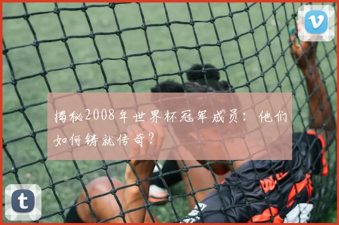 揭秘2008年世界杯冠军成员:他们如何铸就传奇?