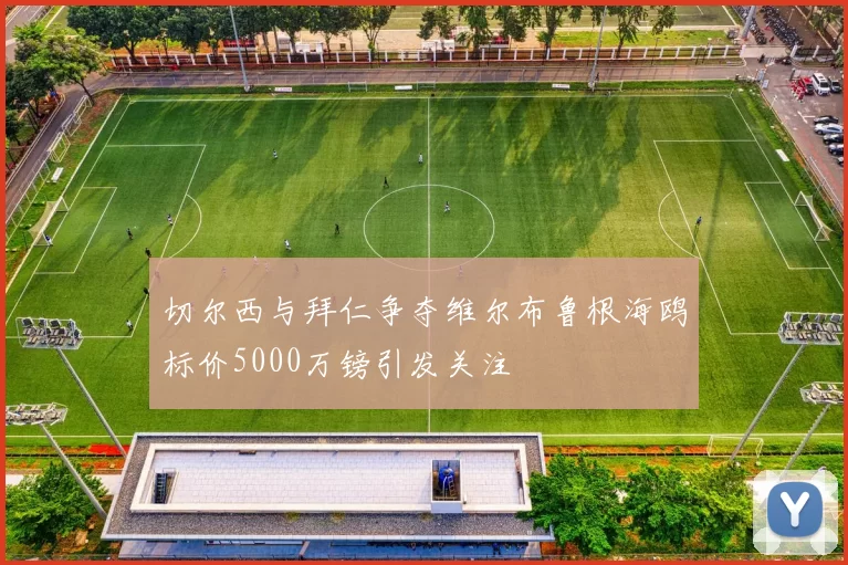 切尔西与拜仁争夺维尔布鲁根海鸥标价5000万镑引发关注