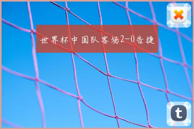 世界杯中国队客场2-0告捷