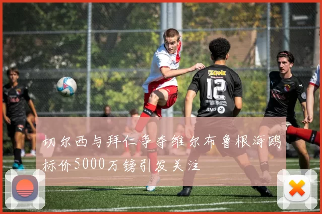 切尔西与拜仁争夺维尔布鲁根海鸥标价5000万镑引发关注