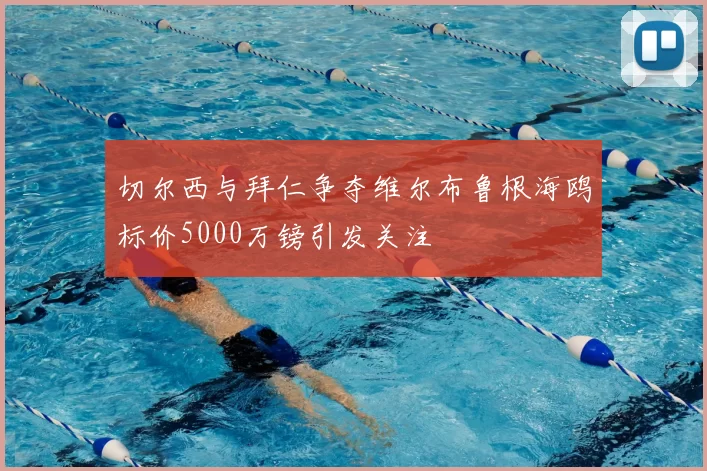 切尔西与拜仁争夺维尔布鲁根海鸥标价5000万镑引发关注