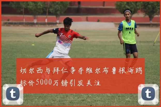 切尔西与拜仁争夺维尔布鲁根海鸥标价5000万镑引发关注