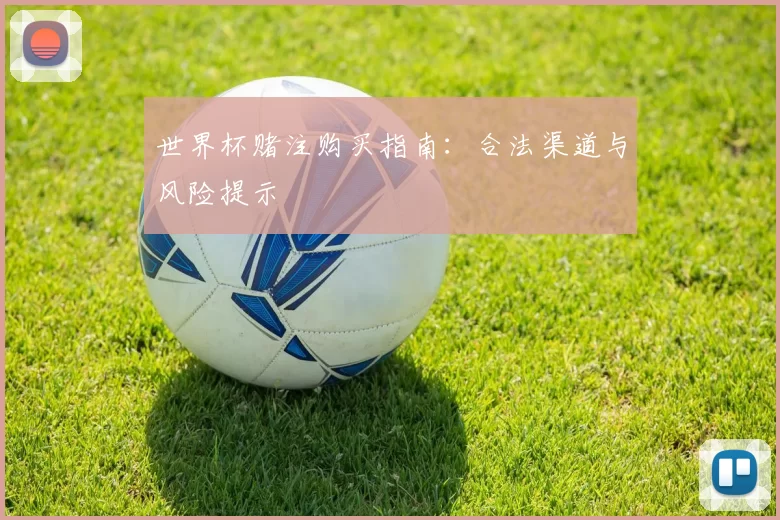 世界杯赌注购买指南：合法渠道与风险提示
