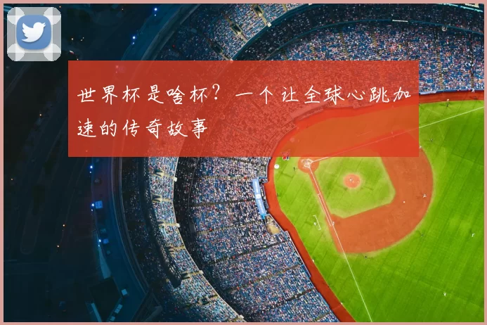 世界杯是啥杯？一个让全球心跳加速的传奇故事