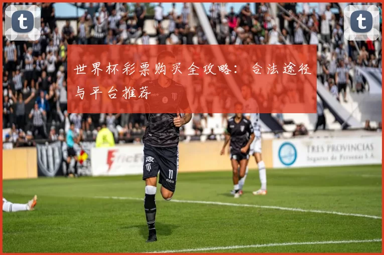 世界杯彩票购买全攻略:合法途径与平台推荐