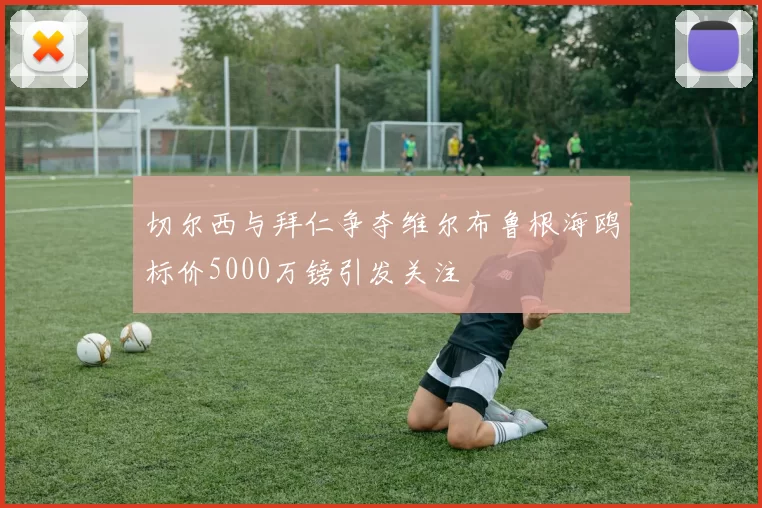 切尔西与拜仁争夺维尔布鲁根海鸥标价5000万镑引发关注