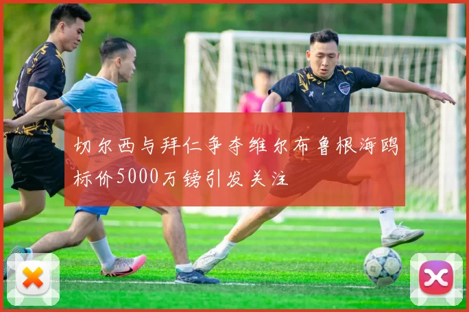 切尔西与拜仁争夺维尔布鲁根海鸥标价5000万镑引发关注